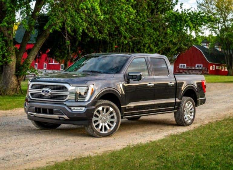 New Ford Trucks in Bozeman, MT Shop for New Ford Pickups