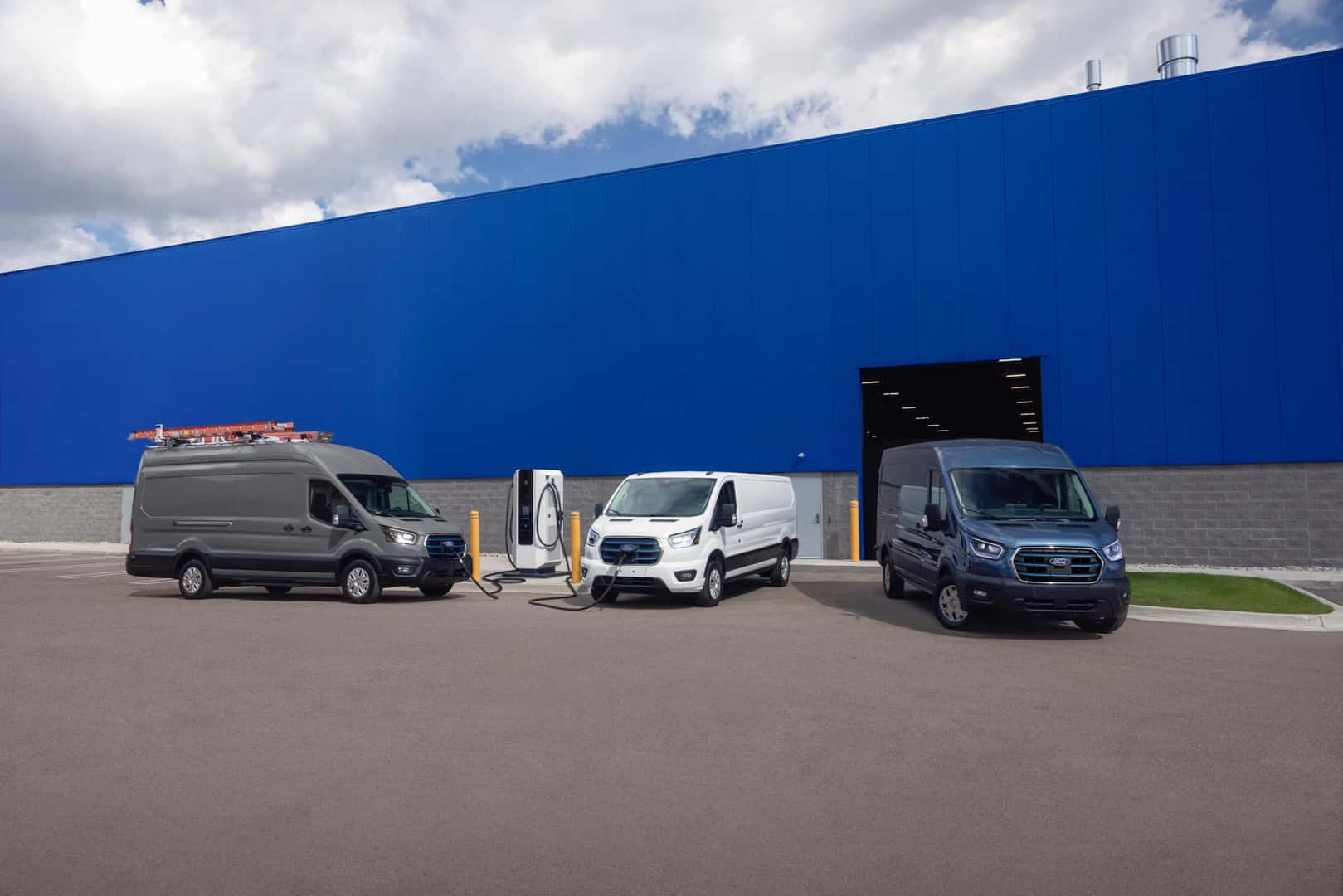 A fleet of Ford Transits