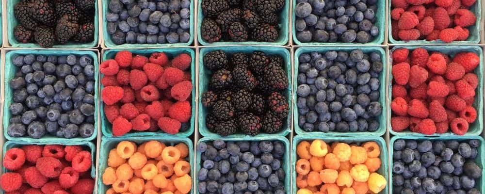 assortment of fruit at a local Livonia, MI Farmers Market 