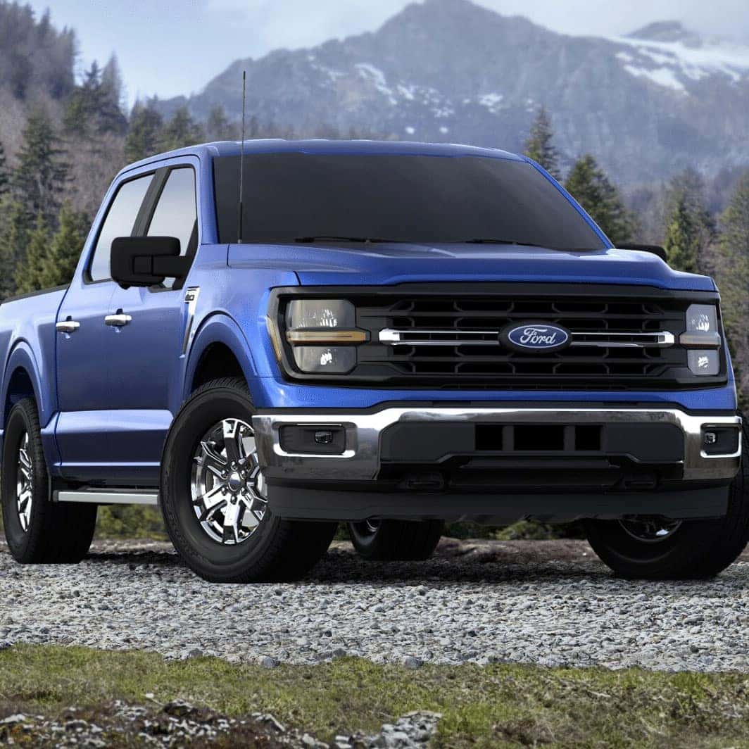 2025 FORD F 150 XLT visual data 2