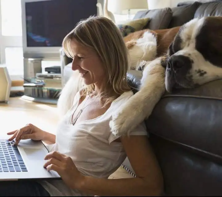 Customer applying to get pre-approved from home on laptop with her dog laying on couch behind her. 