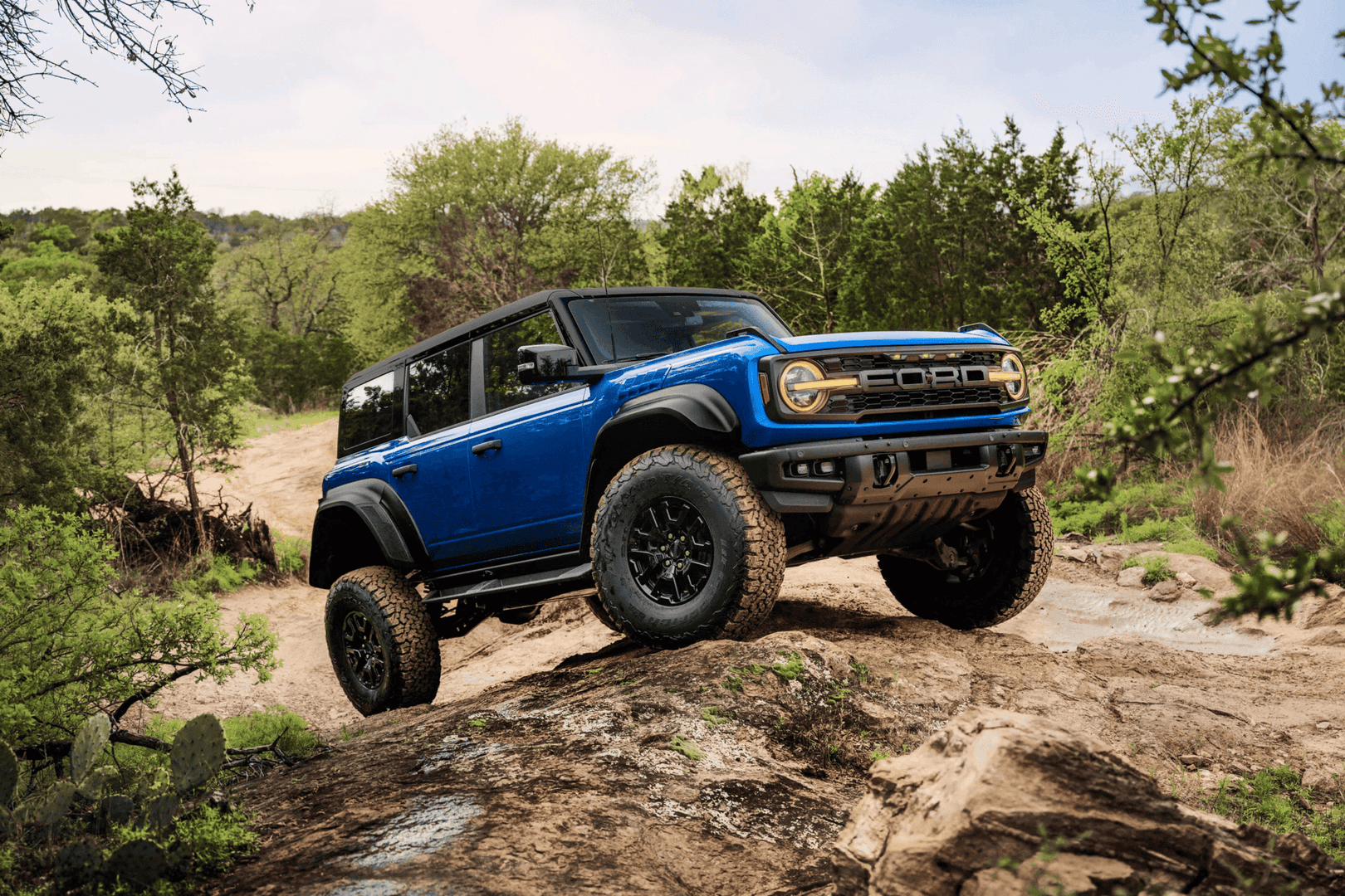 Ford Branco Raptor