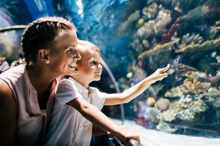 Fascinated mother and son watching sea life in oceanarium