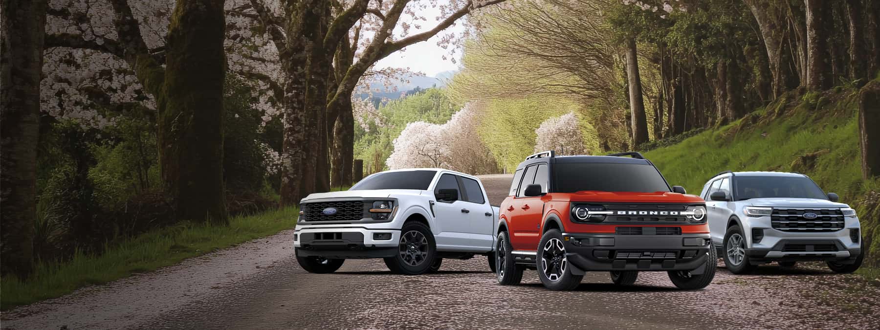 Ford lineup in spring