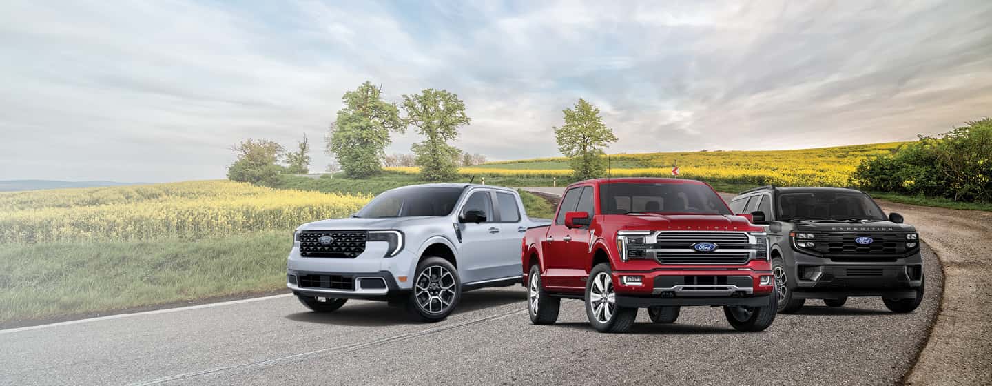 Ford lineup in spring