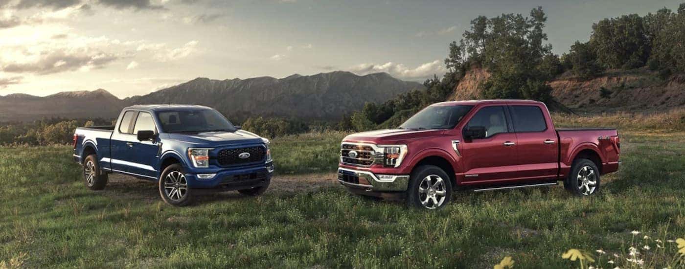 A red and a blue 2021 Ford F-150 are parked on grass in front of mountains.
