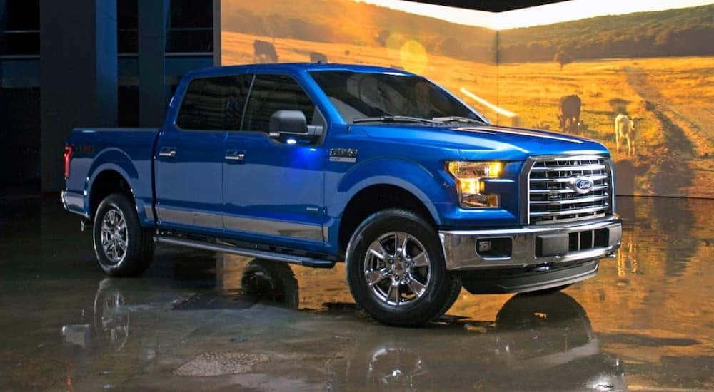 A blue 2016 Ford F-150 is shown parked on a shiny floor in front of a prop screen with a country scene on it after leaving a used car dealer.