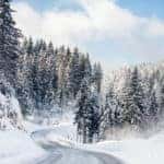 Curvy road with snowy and snow-covered trees on both sides