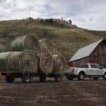 A Silver Ford F-350 truck pulling hay on a trailer in front of a barn after leaving a Ford dealership near you.