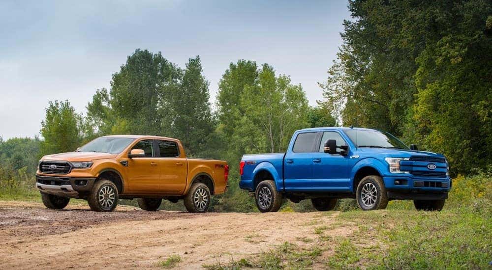 An orange 2019 Ford Ranger and a blue 2019 Ford F-150, which are popular among used Ford Trucks, are parked on a dirt trail.