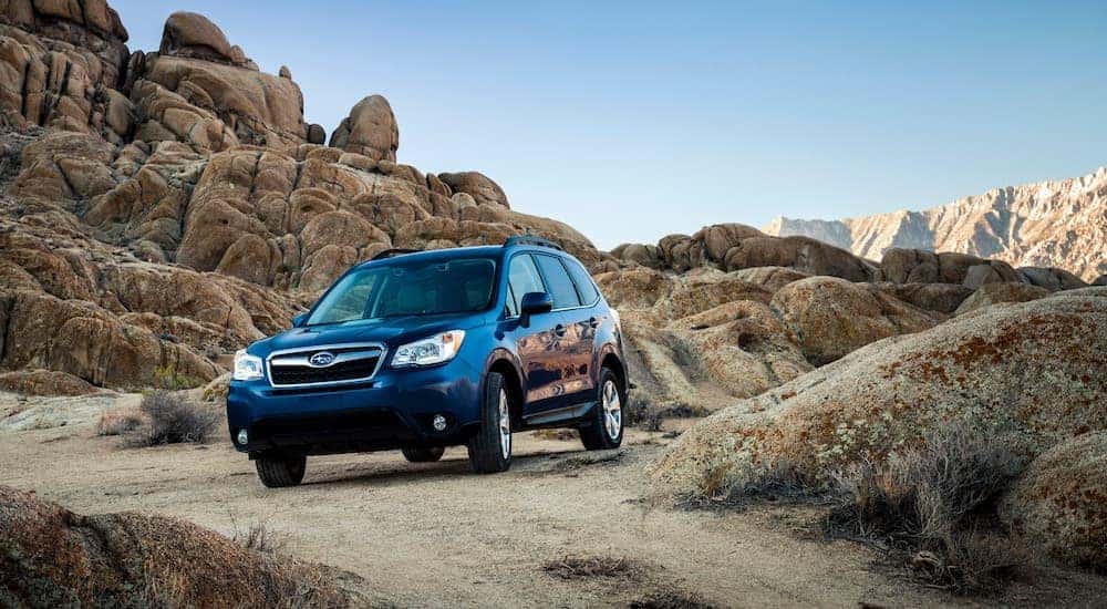 A dark blue 2014 Subaru Forester is shown from the front while driving off-road.
