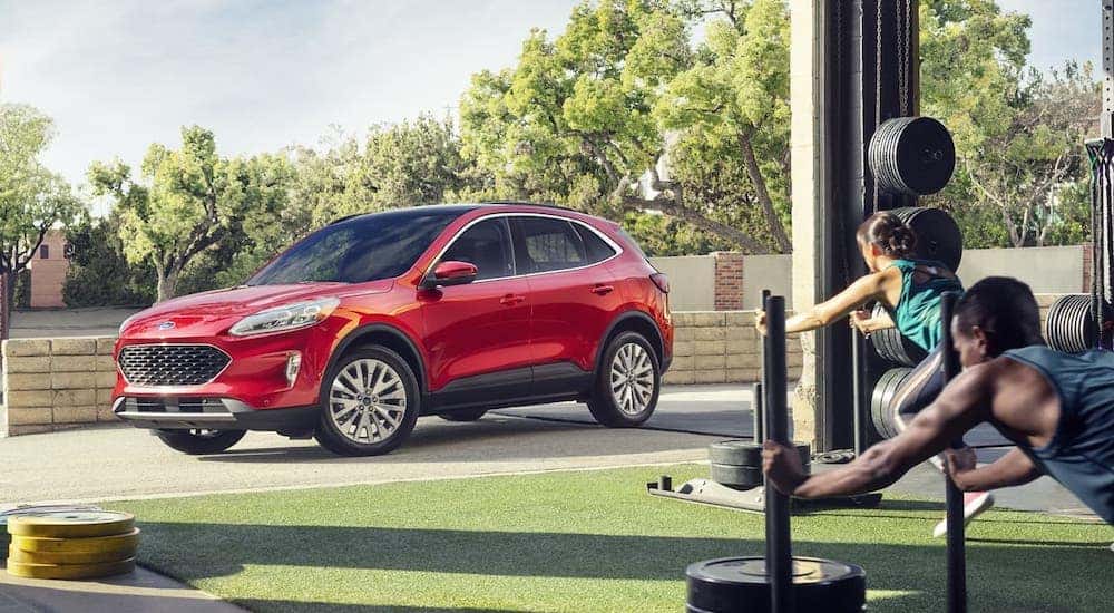 A red 2020 Ford Escape Titanium is parked outside people working out in a gym near Albany.