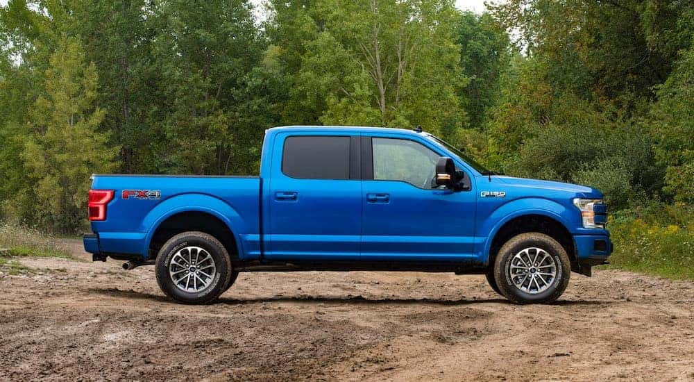 A blue 2019 Ford F-150 is shown from the side parked on dirt in front of trees.