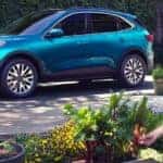 A blue 2021 Ford Escape is shown from the side parked in a garden after leaving an Albany Ford Escape dealership.
