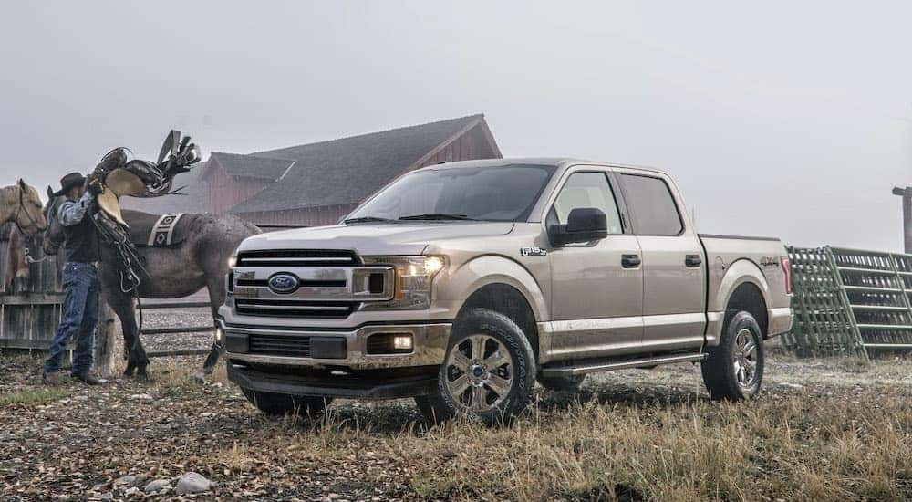 A tan 2018 Ford F-150 is shown parked at a horse ranch.