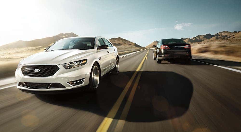A white and a black 2017 Ford Taurus are shown going opposite directions on a highway.