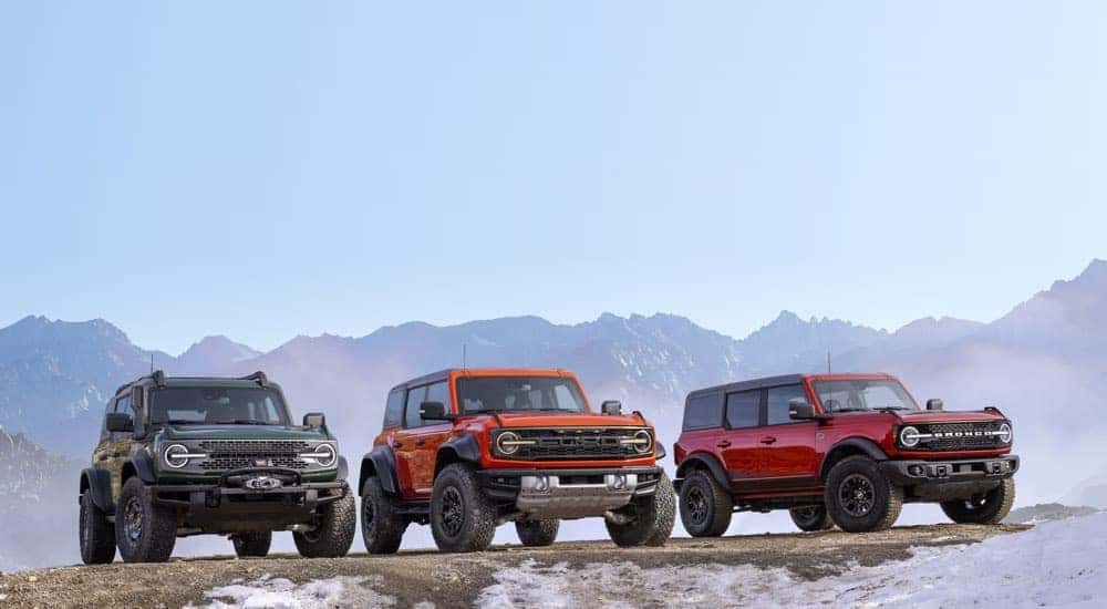 A green 2022 Ford Bronco Everglades, an orange Raptor, and a red Wildtrak are shown parked on a mountain crest.