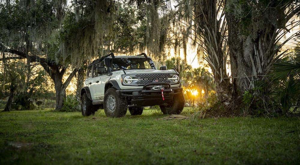 A green 2022 Ford Bronco Everglades is shown from the front in a forest clearing after leaving one of the Albany car dealers.