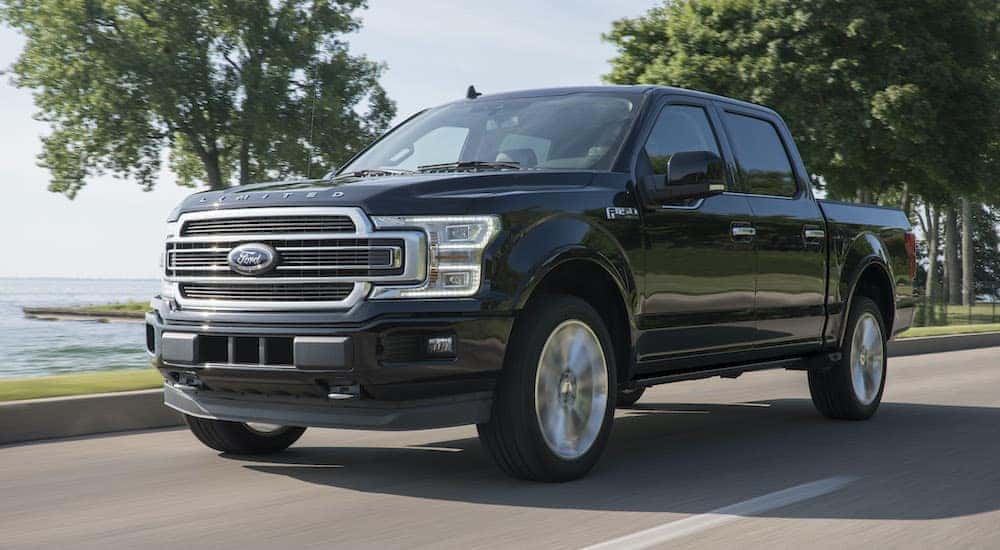 A black 2019 Ford F-150 Limited is shown from the front driving on an open road.