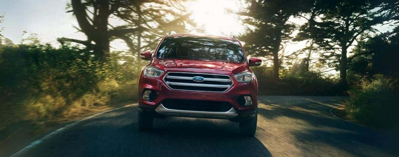 A red 2017 Ford Escape is shown driving on a tree-lined road.