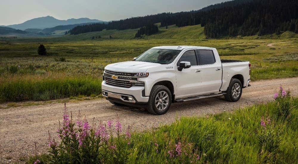 A white 2019 Chevy Silverado 1500 High Country is shown driving down a dirt road.