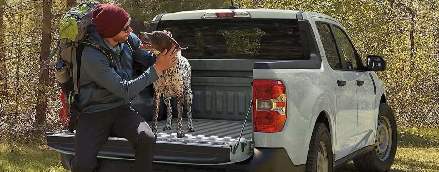 A silver 2024 Ford Maverick is shown parked with a person and a dog sitting on the tailgate.