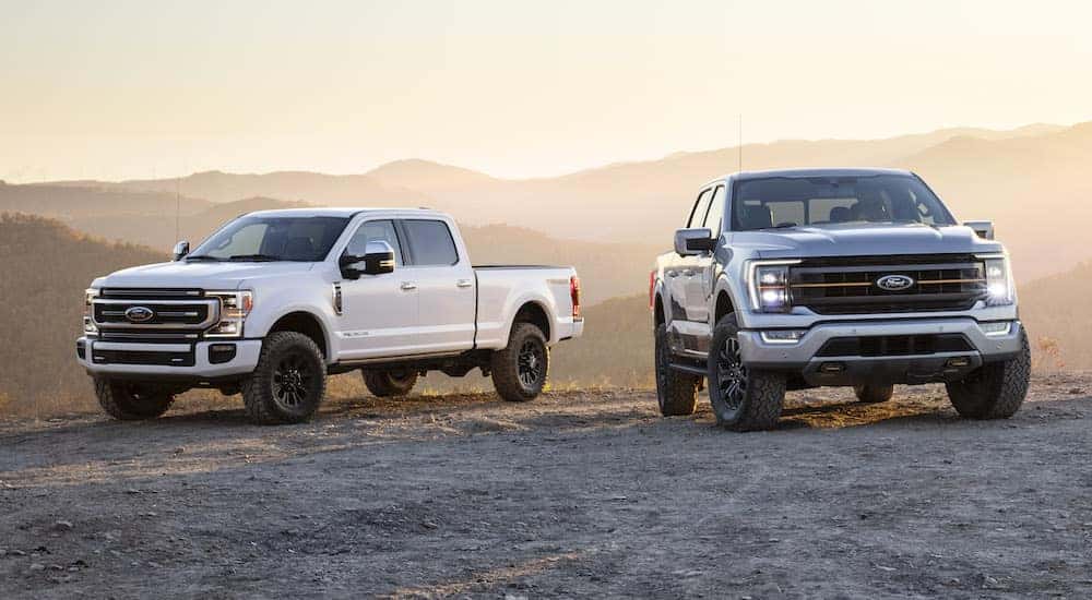 A white 2021 Ford F-150 Tremor and a silver 2021 Ford F-250 parked on a mountain.