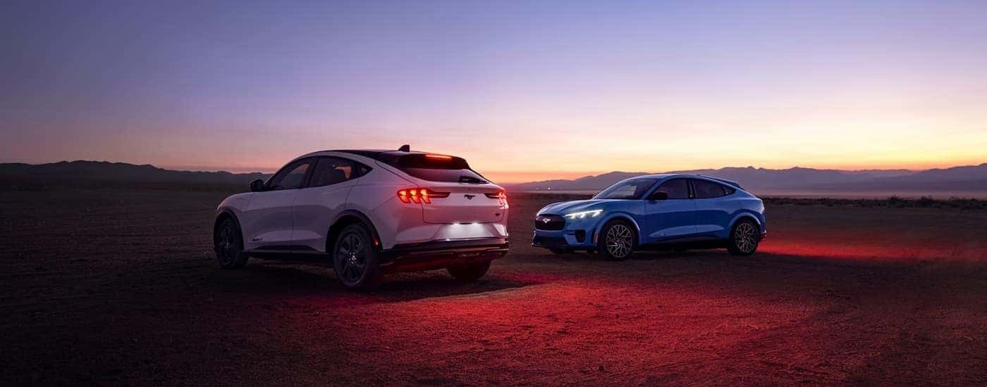 A white and a blue 2023 Ford Mustang Mach-E are parked at night in an open area.