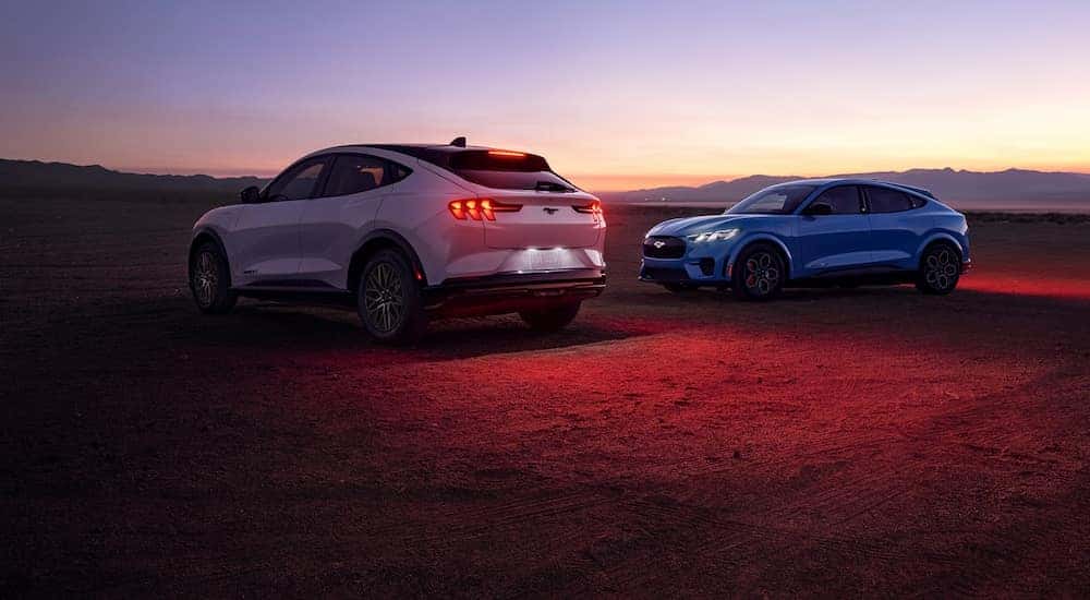 Two 2024 Ford Mustang Mach-E SUVs parked in the desert with their lights on at night.