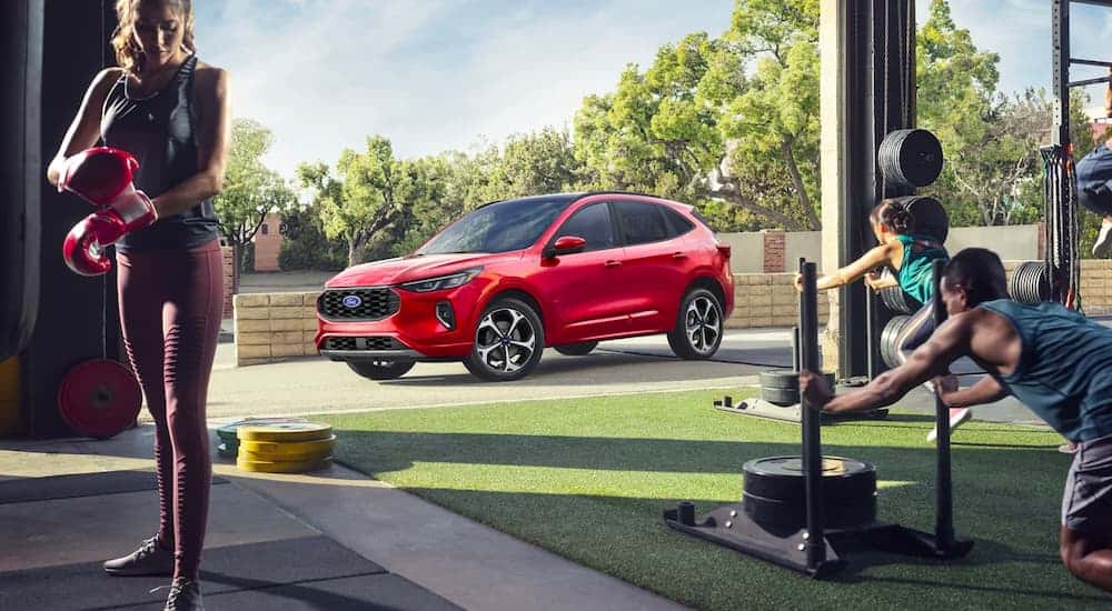 A red 2024 Ford Escape ST-Line parked outside a gym.