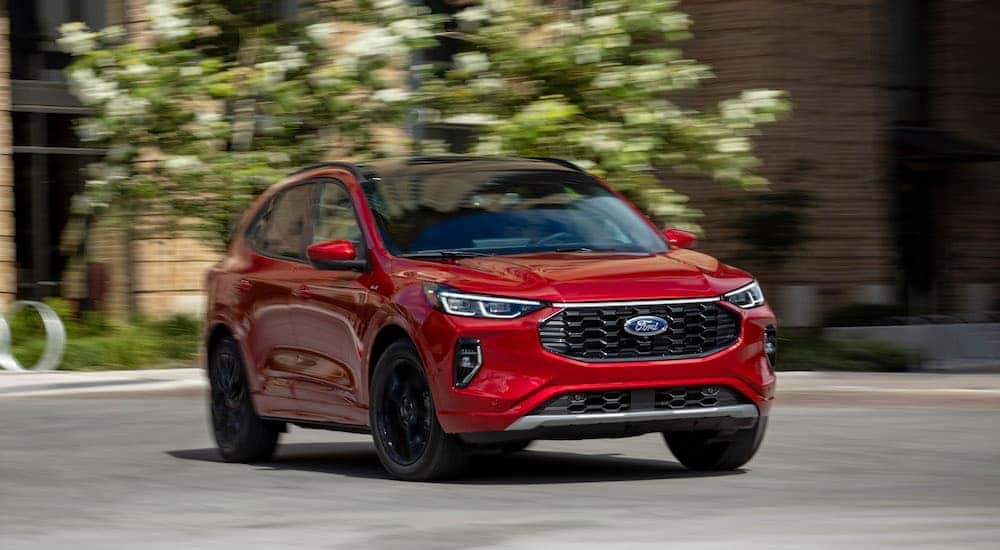 A red 2025 Ford Escape ST-Line is shown from the front at an angle.