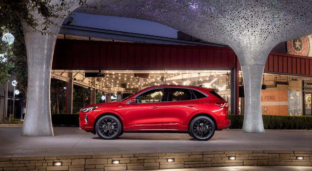 A red 2025 Ford Escape ST-Line is shown from the side.