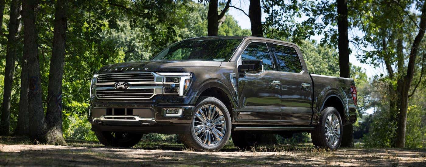 A grey 2025 Ford F-150 is shown from the front at an angle.