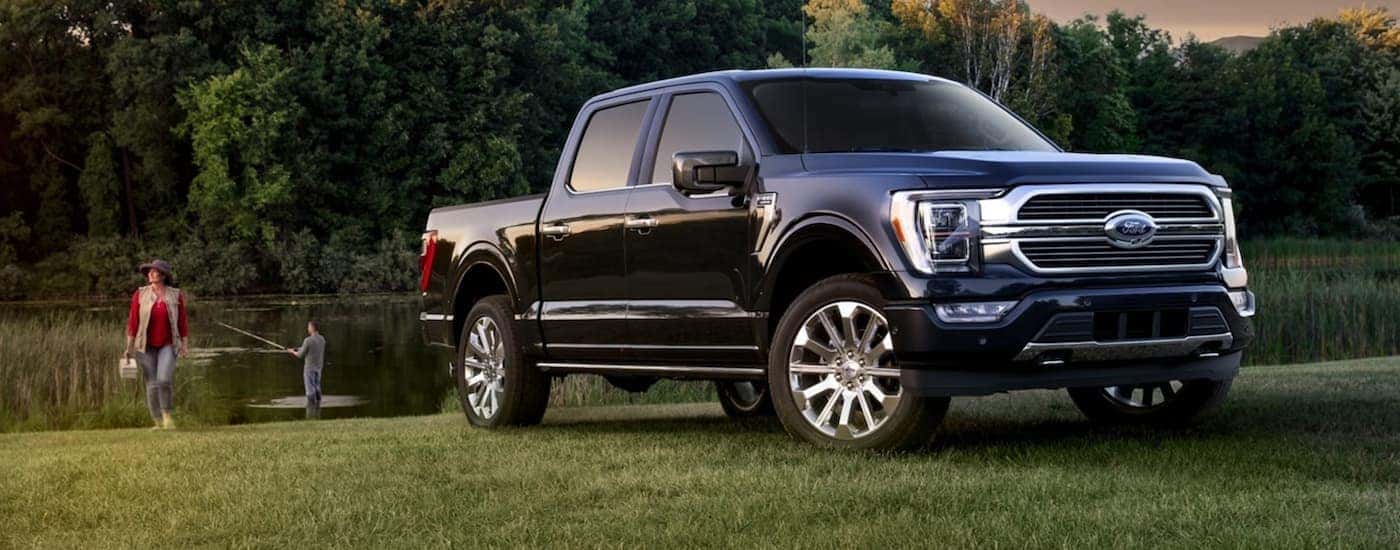 A black 2023 Ford F-150 is shown from the front at an angle.