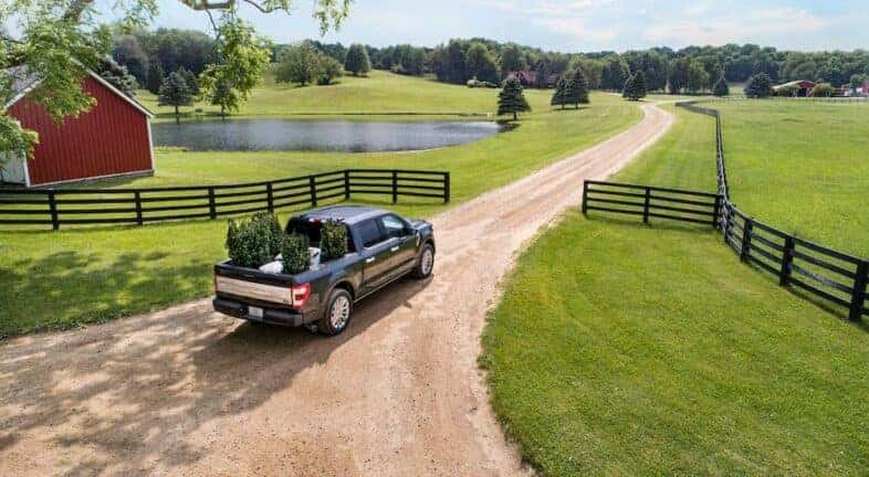 A black 2021 Ford F-150 is shown driving on a dirt road.