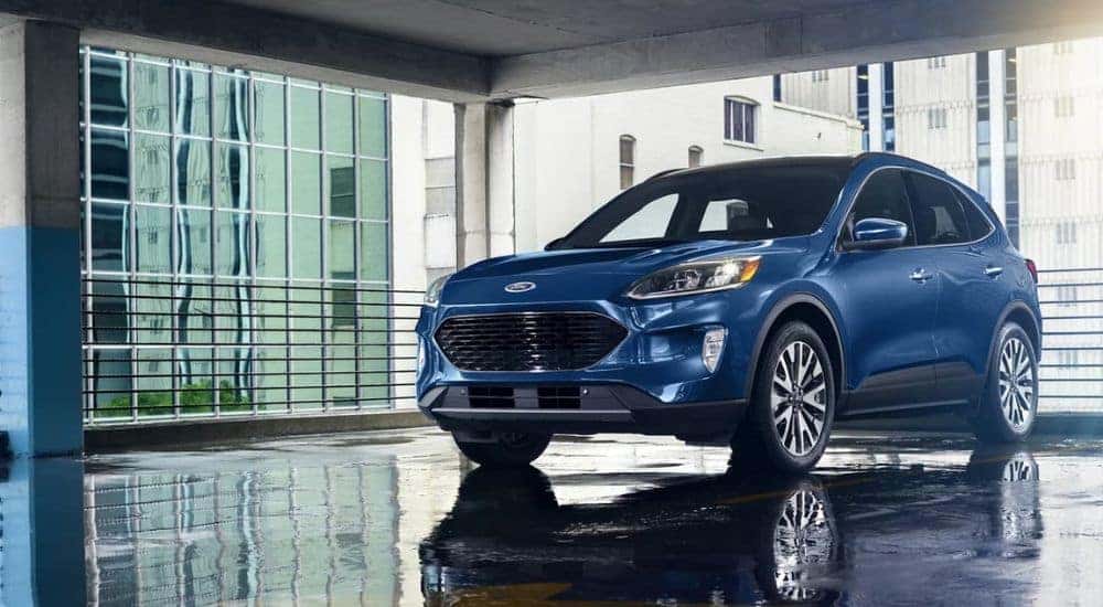 A blue 2020 used Ford Escape for sale in Albany parked in a city.