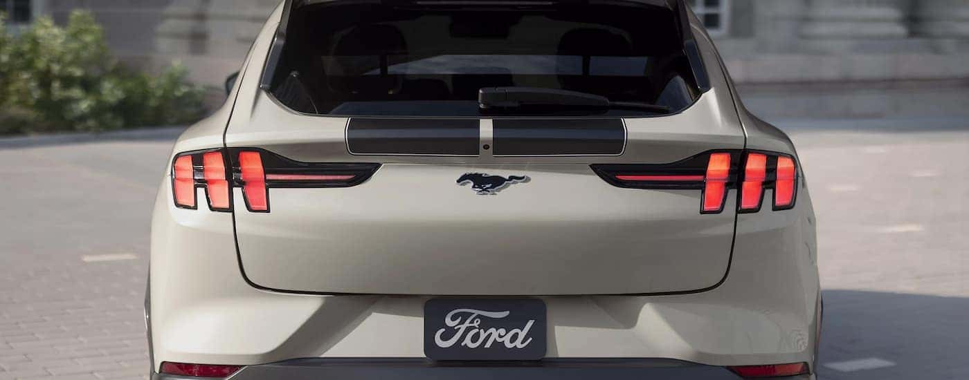 The rear of a white 2025 Ford Mustang Mach-E