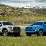 Two 2020 Toyota Tacoma's parked side-by-side.