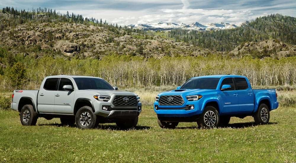 Two 2020 Toyota Tacoma's parked side-by-side.