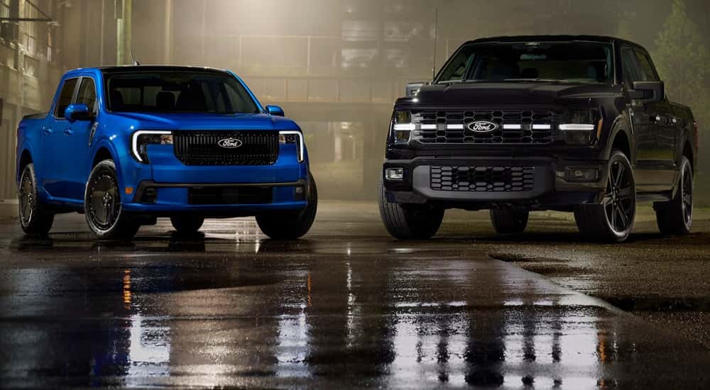 A black and a blue Ford F-150 parked beside eachother.