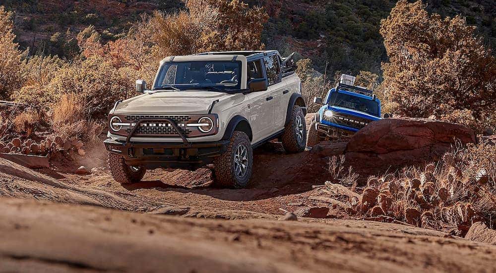 A white and blue 2026 Ford Bronco vs 2026 Jeep Wrangler off-roading