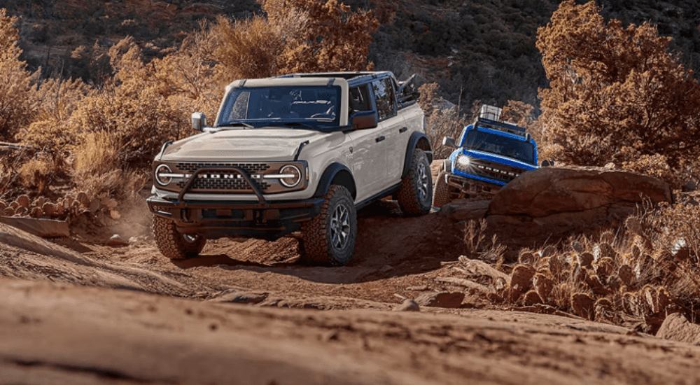 White 2026 Ford Bronco driving off-road with a blue 2026 Ford Bronco following