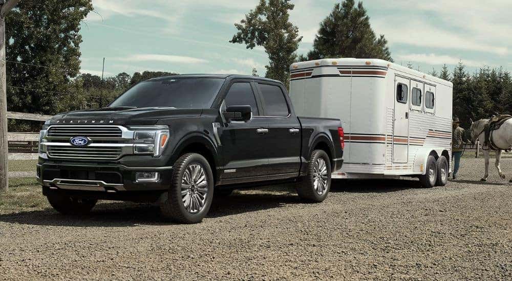 Black 2026 Ford F-150 towing a horse trailer