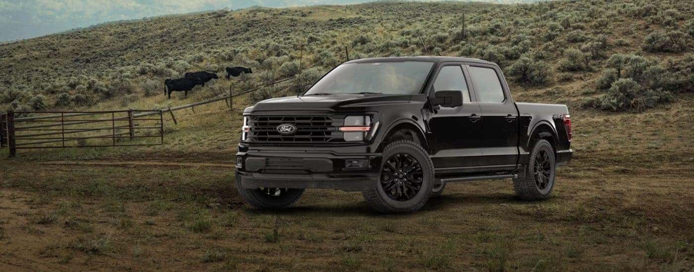 Black 2026 Ford F-150 XLT on a farm.