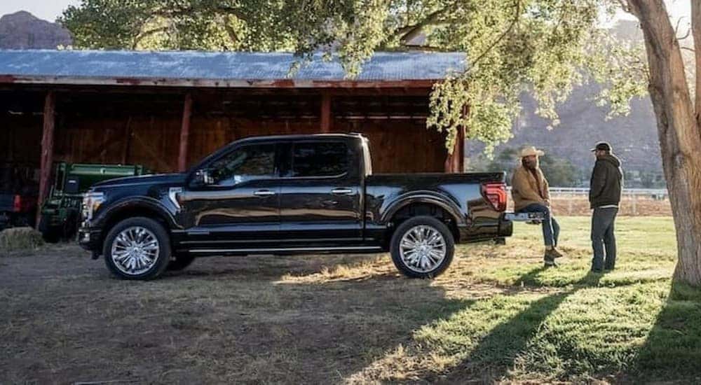 A black 2026 Ford F-150 XLT parked on a farm.