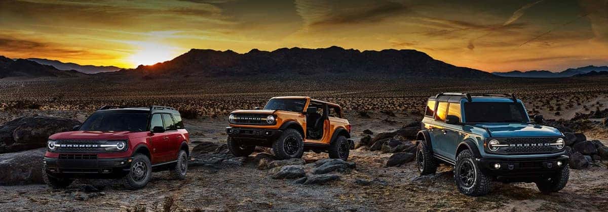Which Ford Models Have Adaptive Cruise Control? | D'Orazio Ford