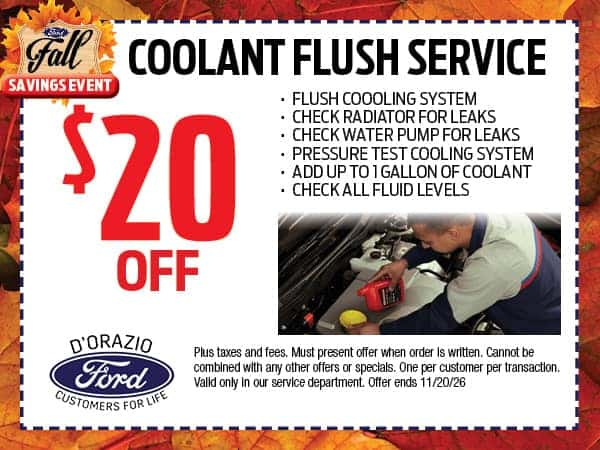 Coolant Flush Service | D