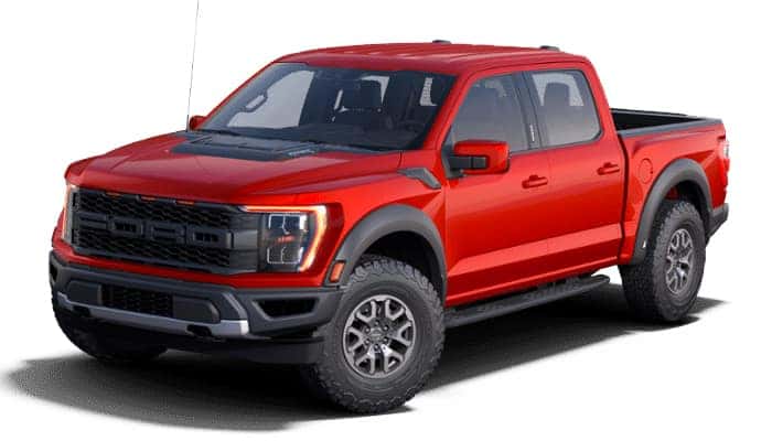 Raptor