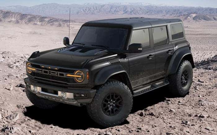 Raptor