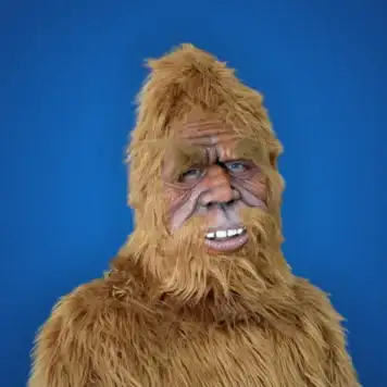 Sasquatch A.K.A. Bigfoot